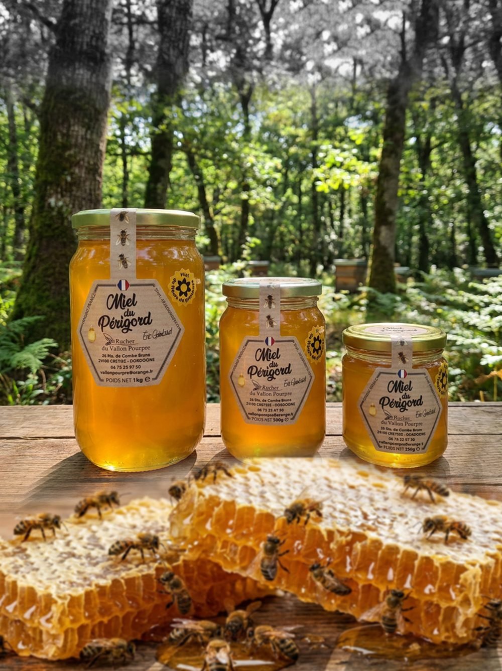 Trois pots de miel du Périgord (1 kg, 500 g et 250 g) devant une forêt, avec des rayons de miel et des abeilles